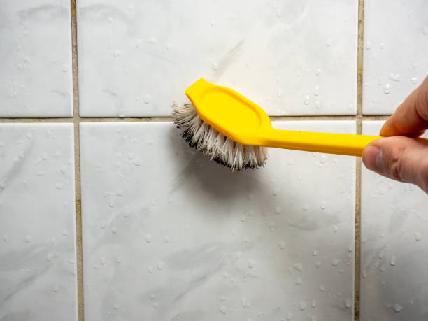 Best Local Mold Removal Service  in Little Chute, WI