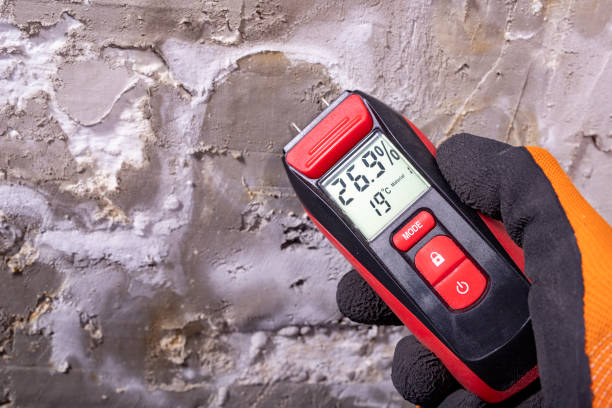 Best Mold Testing  in Little Chute, WI
