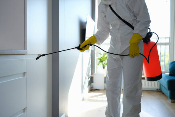 Best Crawl Space Mold Removal  in Little Chute, WI