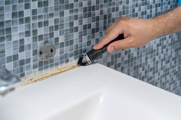 Best Mold Cleaning Services  in Little Chute, WI